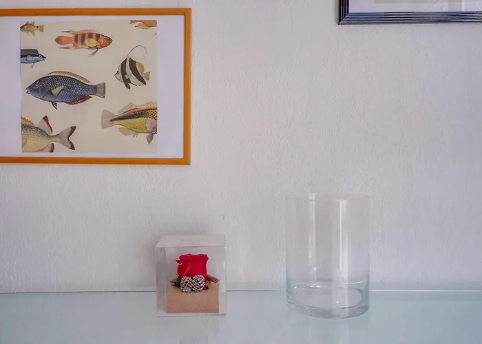 Situation Ideale * Libourne